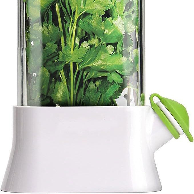 Vanilla vegetable fresh-keeping box pressure resistant fresh-keeping device creative fresh-keeping cup