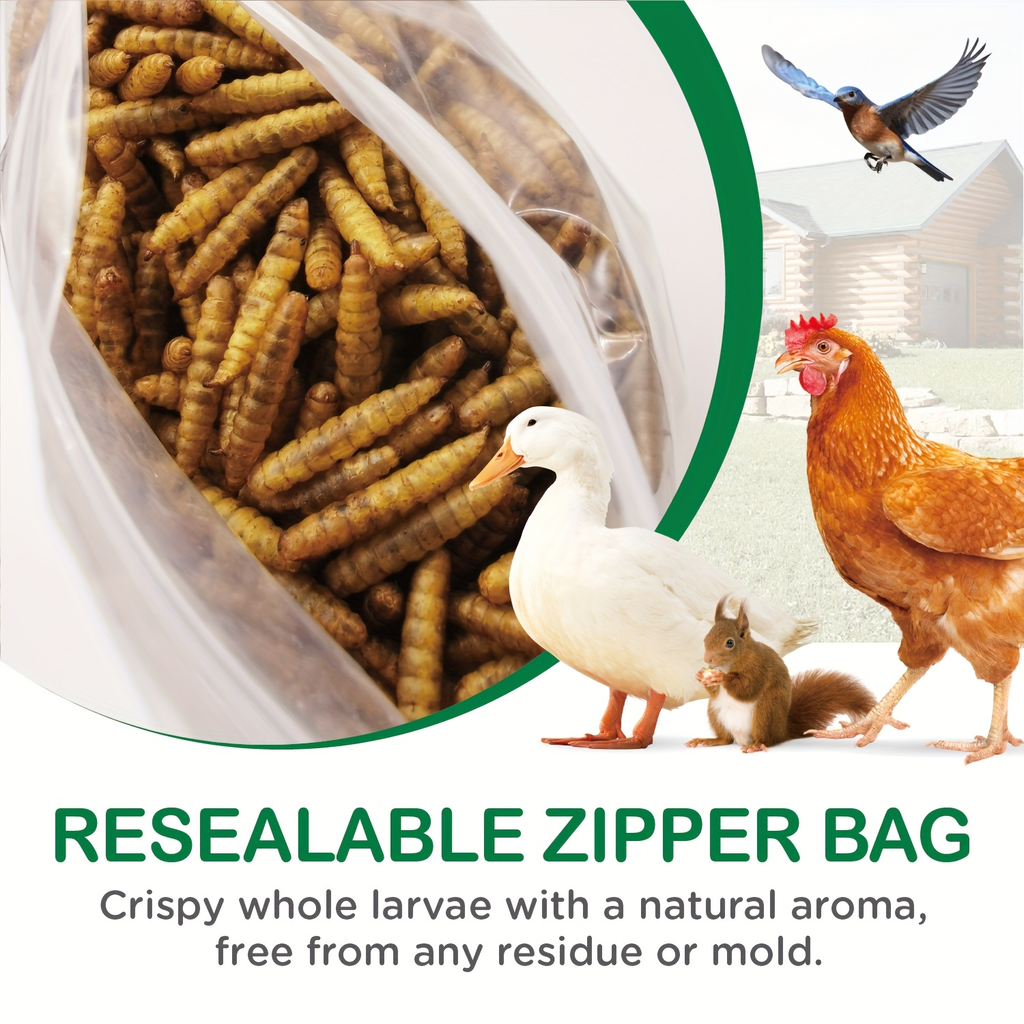 Dried Black Soldier Fly Larvae High Calcium Chicken Feed for Garden — image 8