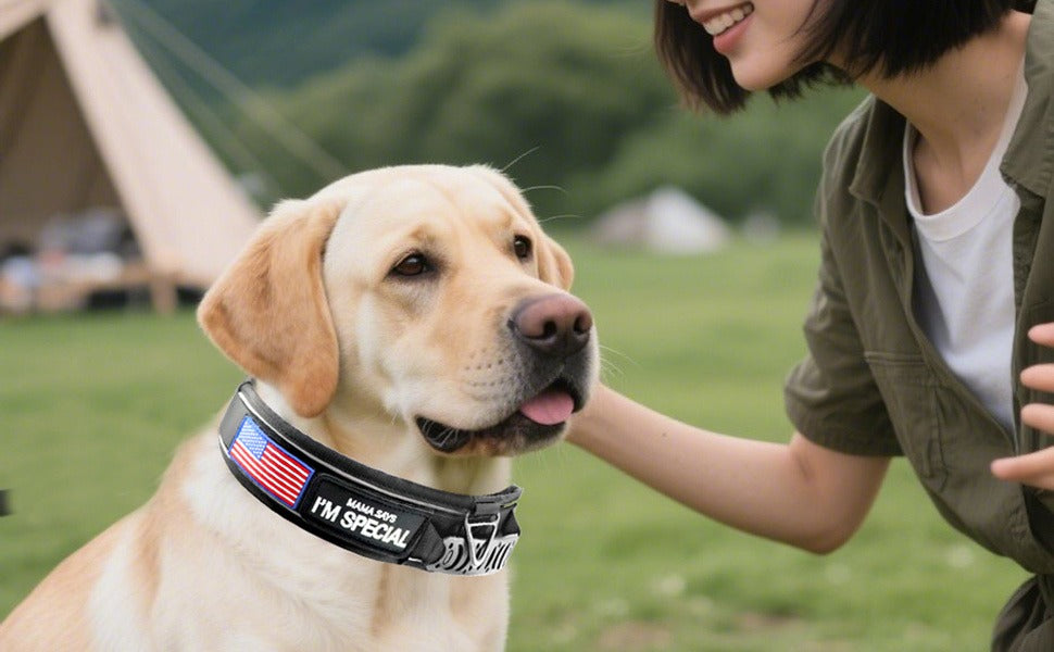 Wide Tactical Dog Collar with Padded Grab Handle, Reflective Stitching, Two Patches and M–XL Sizing — image 12