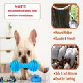Dog Toy Assorted Puppy Bundle with Random Chew, Rope, Treat Ball and Squeaky Mix in 3 or 12 Pieces — image 7