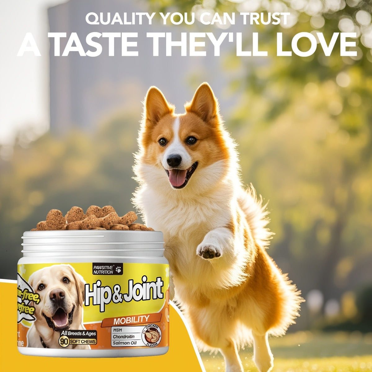 Dog Hip and Joint Soft Chews with Glucosamine, Chondroitin, MSM and Salmon Oil, 90 Count per Bottle — image 8