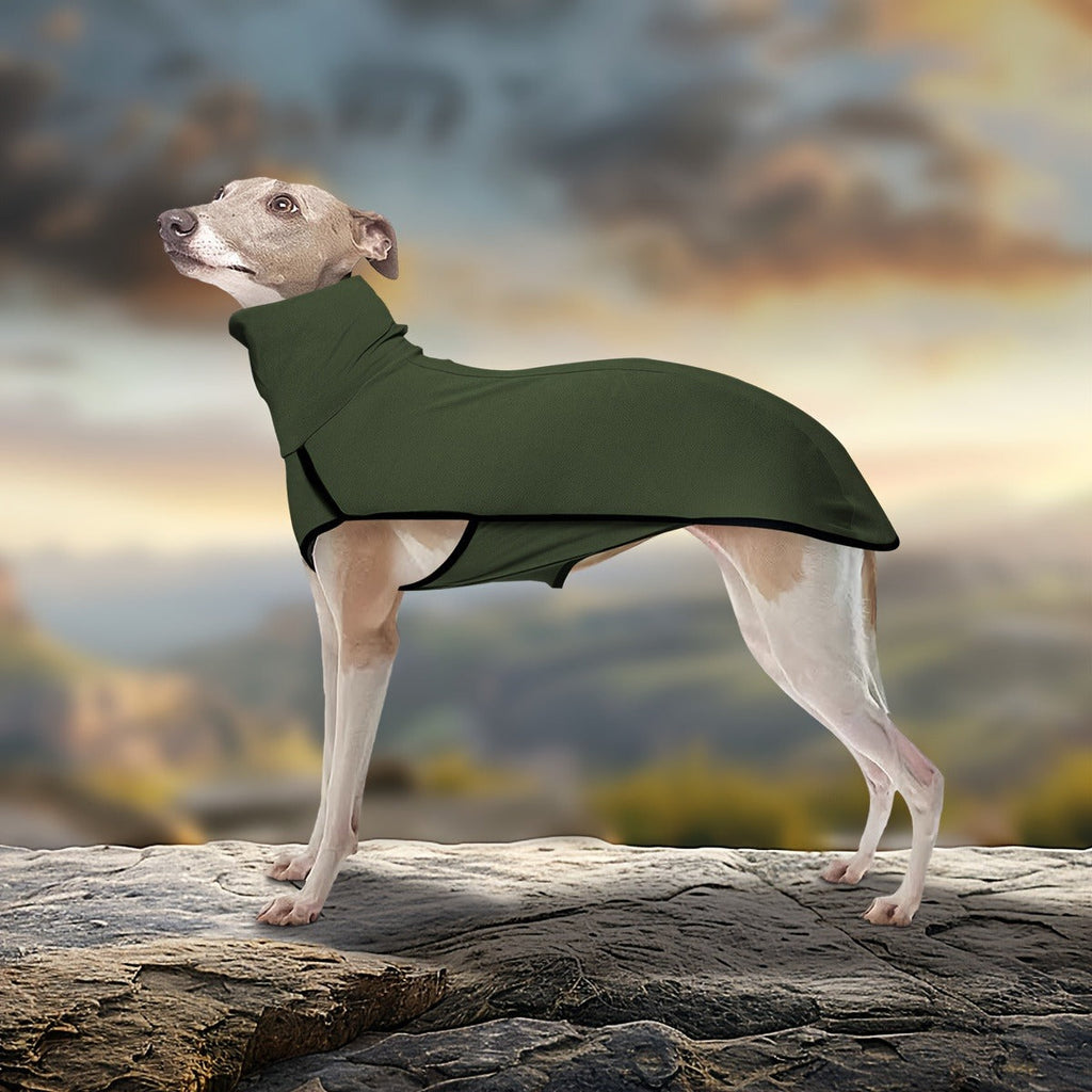 High-Neck Pullover Dog Coat in Burgundy, Navy or Fern Green with Selected XL Through 4XL Sizes — image 12