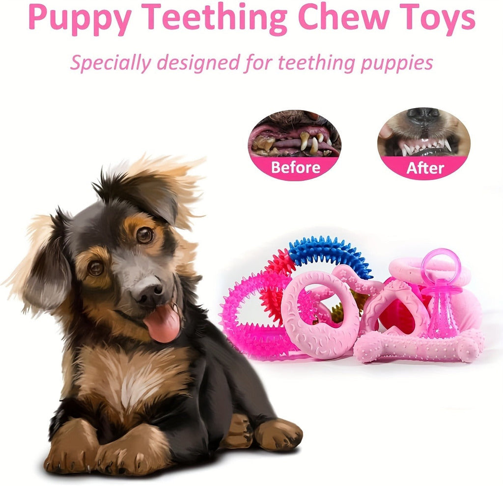 Dog Toy Pink Puppy Chew Bundle with Textured Toothbrush Shapes and Balls in Random 5 or 8 Pieces — image 5
