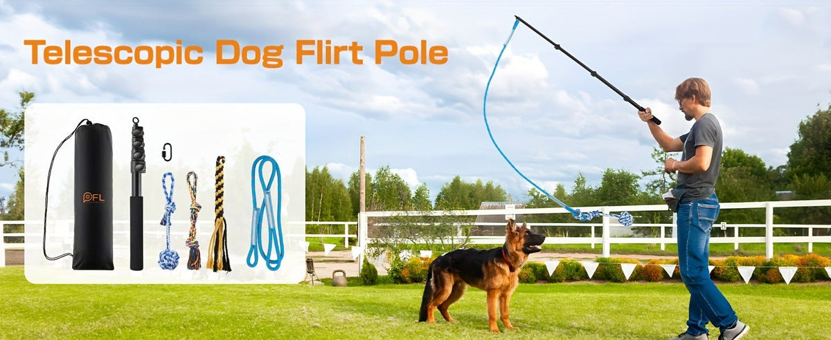Dog Toy Telescopic Aluminum Flirt Pole with Reinforced Nylon Rope and Three Detachable Interactive Toys — image 12