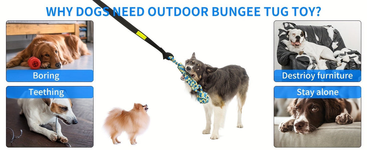 Dog Toy Outdoor Hanging Bungee Tug with Adjustable 19.7-Foot Elastic Cord, Soft Loop and Chew Rope — image 10