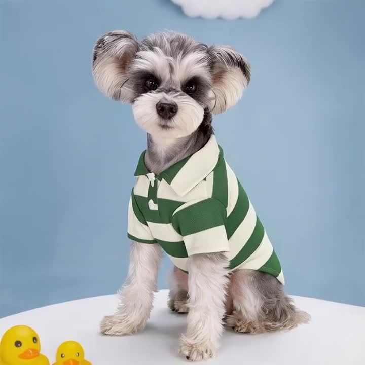 Five-Pack Striped Polo-Style Dog Shirts in Assorted Colors with Seven Size Choices from XS Through 4XL — image 4