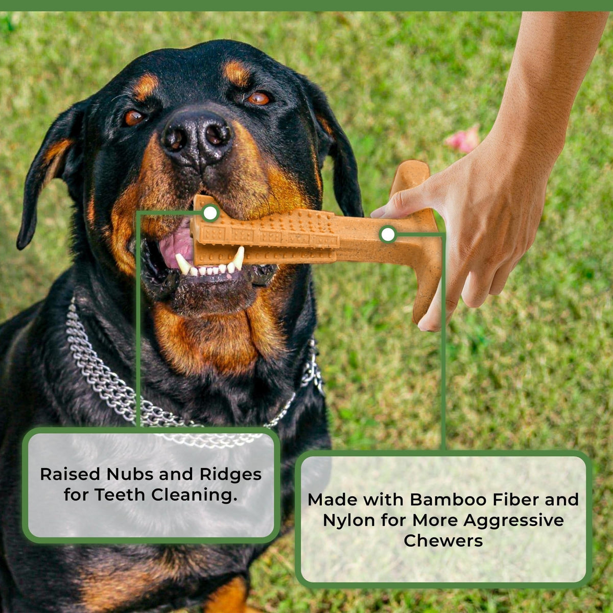 T-Shaped Textured Dog Chew Toy in Brown with Raised Nubs and Approx. 7.28 x 5.59-Inch Size — image 7