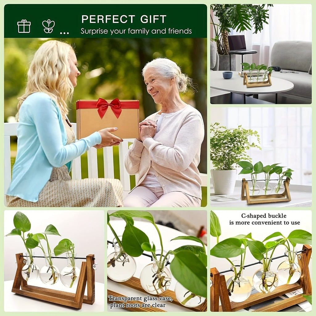 Propagation Station 3 Bulb Glass Vase with Wooden Stand – Hydroponic Plant Terrarium for Home Office Desk Decor — image 8