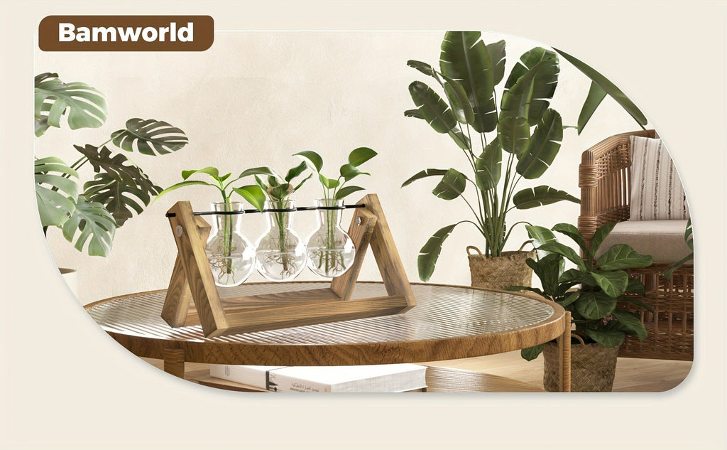Glass Terrarium Heart Shaped Hydroponic Vase with Wooden Stand – Elegant Plant Propagation Station for Home Decor — image 8