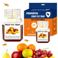 Fruit Fly Trap Indoor Sticky Flying Insect Catcher Bug Trap for Kitchen Home Plant Gnat Whitefly Fungus Gnat Pest Control — i