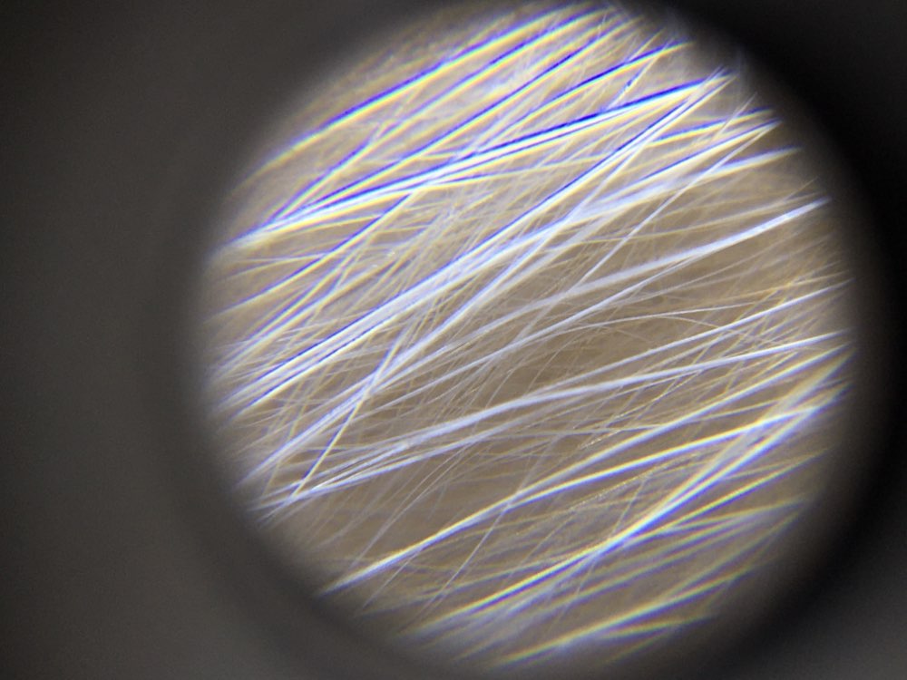 Digital Microscope Camera for Cell Phone with LED Light