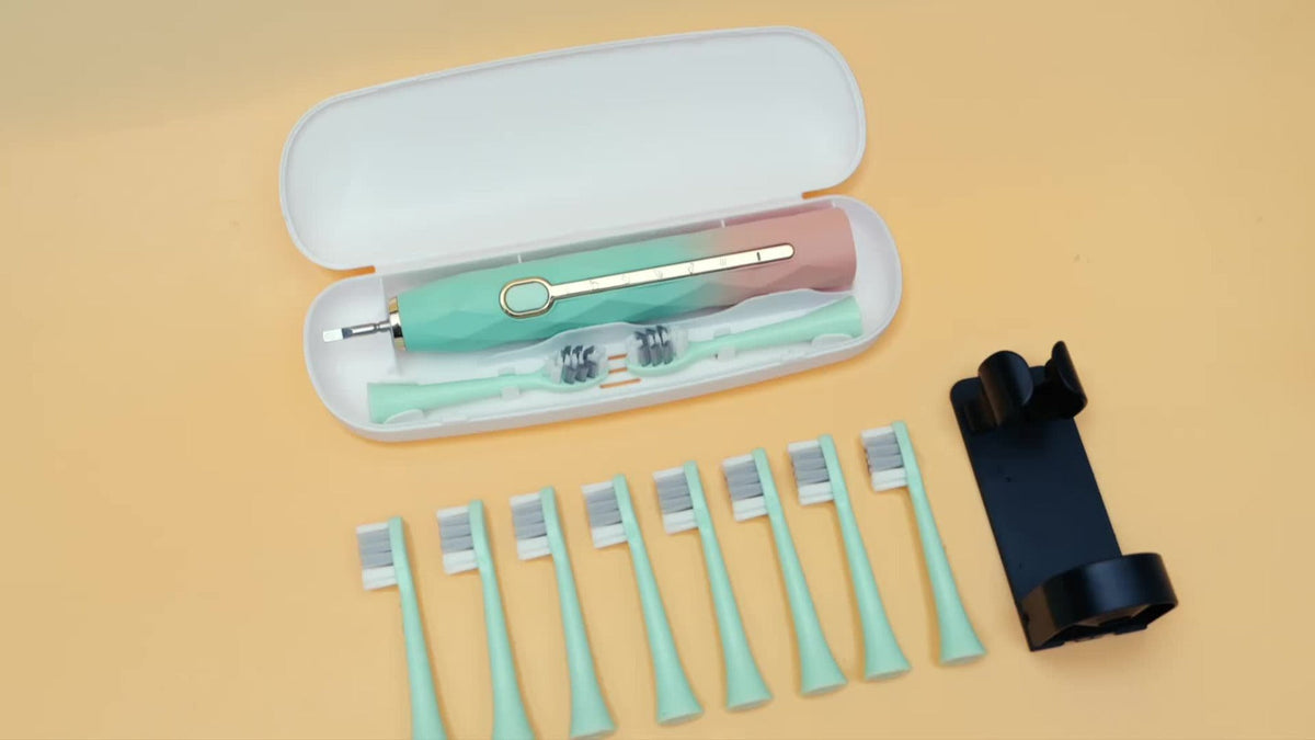 IPX8 Sonic Electric Toothbrush with 8 Replacement Brush Heads – Metal Shaft, USB Rechargeable 500mAh, Travel Case & Holder — 