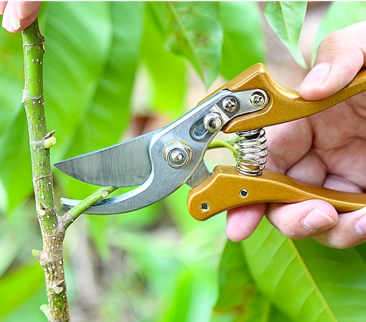 Bypass Pruning Shears with Curved Blade, Return Spring and Gold or Black Coated Handle Options — image 21
