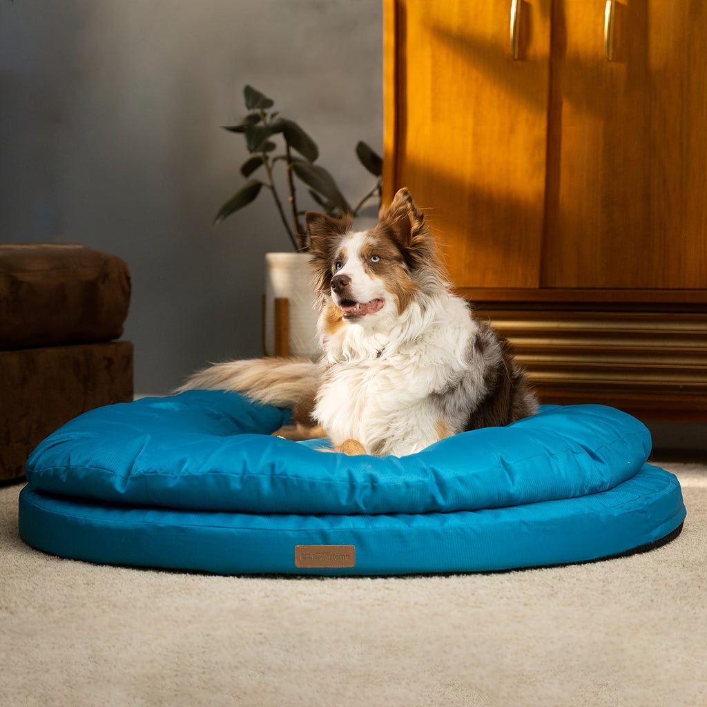 Round Memory Foam Dog Bed with Dual-Layer Cushion and Machine-Washable Removable Cover in 36- or 42-Inch Sizes — image 1