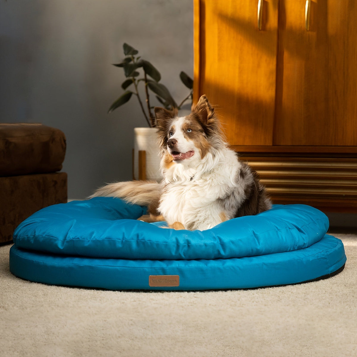 Round Memory Foam Dog Bed with Dual-Layer Cushion and Machine-Washable Removable Cover in 36- or 42-Inch Sizes — image 1