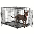 36-Inch Folding Wire Dog Crate with Two Door Accesses, Divider Panel, Removable Tray and Top Handle — image 2