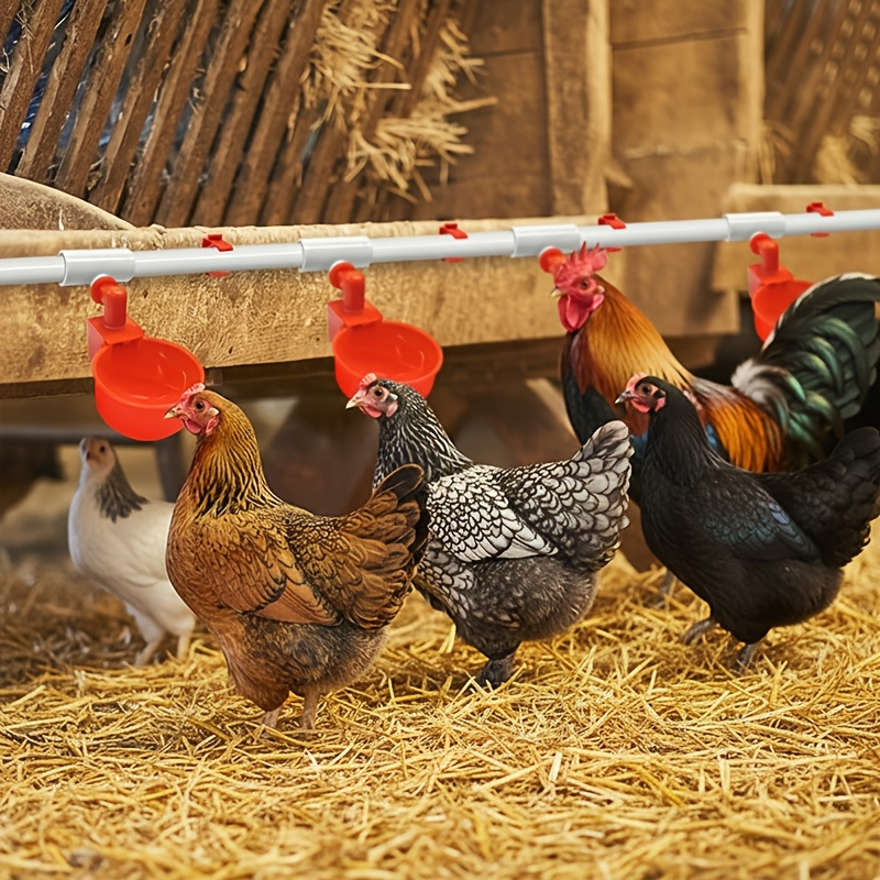 Automatic Poultry Watering System Kit with 10 Red Cups, PVC Pipe Fittings, Regulator and Hose Connections — image 3