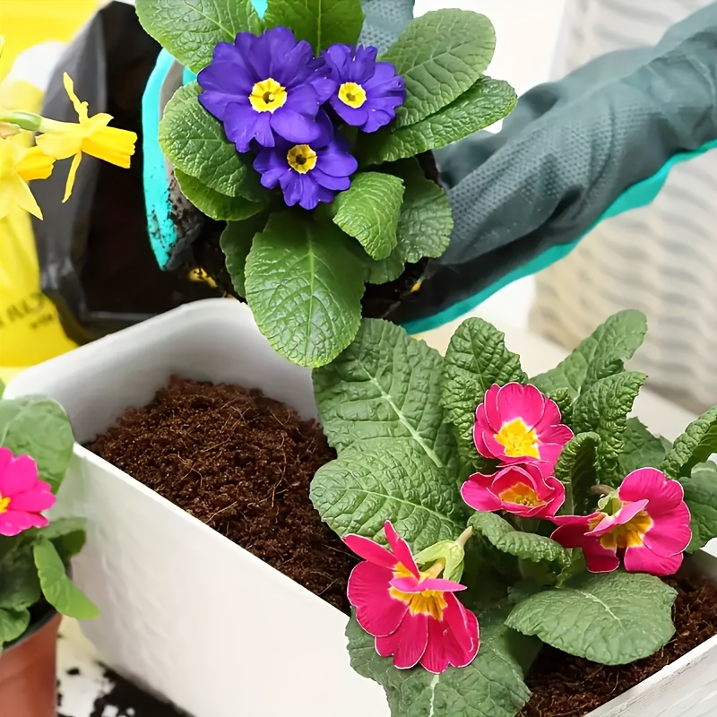 Coco Coir Bricks Natural Coconut Fiber Planting Soil | Compressed Coir Block Expands 6x for Hydroponics Potting Mix Garden Be