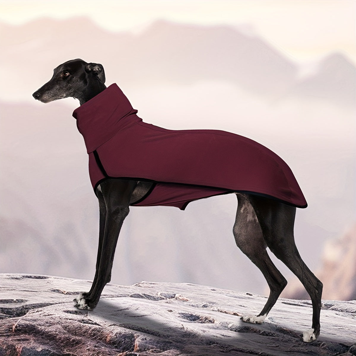High-Neck Pullover Dog Coat in Burgundy, Navy or Fern Green with Selected XL Through 4XL Sizes — image 2