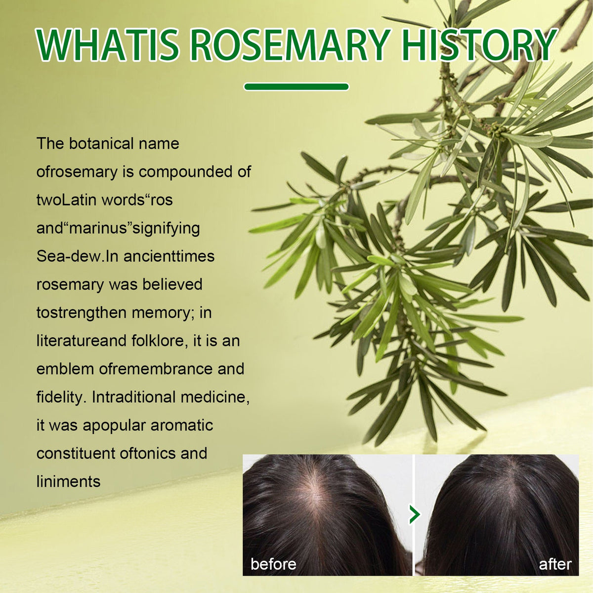 Rosemary Dense Hair Spray Hydrates Roots For Increased Elasticity Restoring Shine Anti-Set Hair Spray