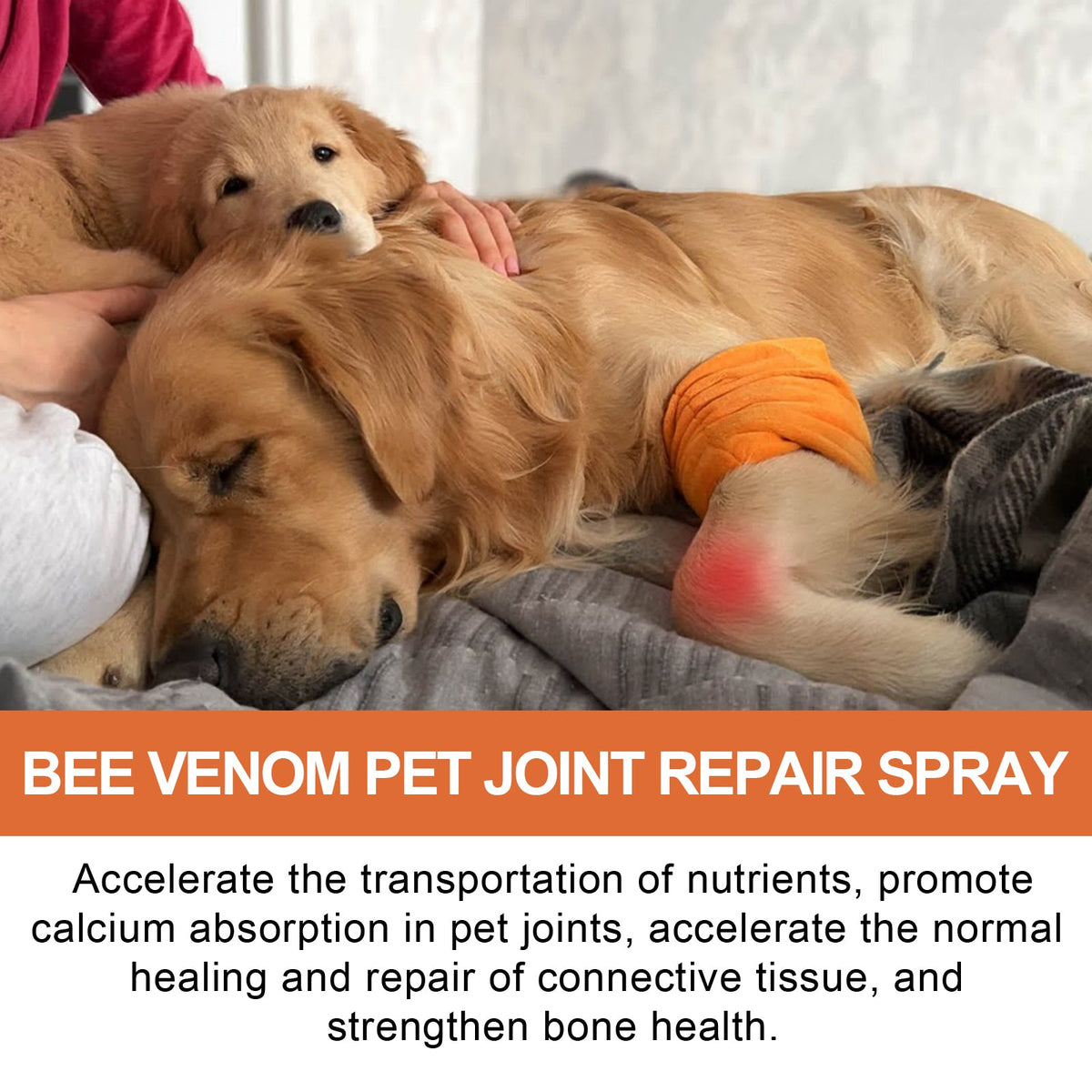 Pet Joint Repair Spray, Relieve Pet Joint Discomfort Muscle Weakness Pet Joint Care Spray
