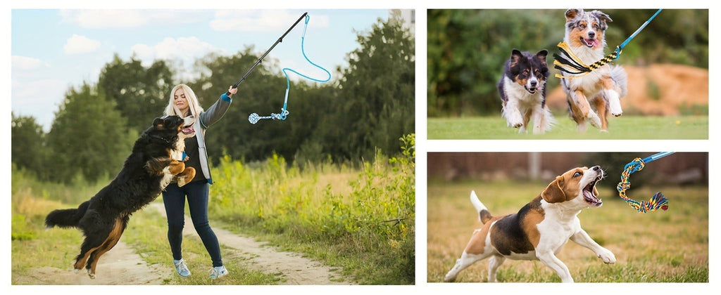 Dog Toy Telescopic Aluminum Flirt Pole with Reinforced Nylon Rope and Three Detachable Interactive Toys — image 13