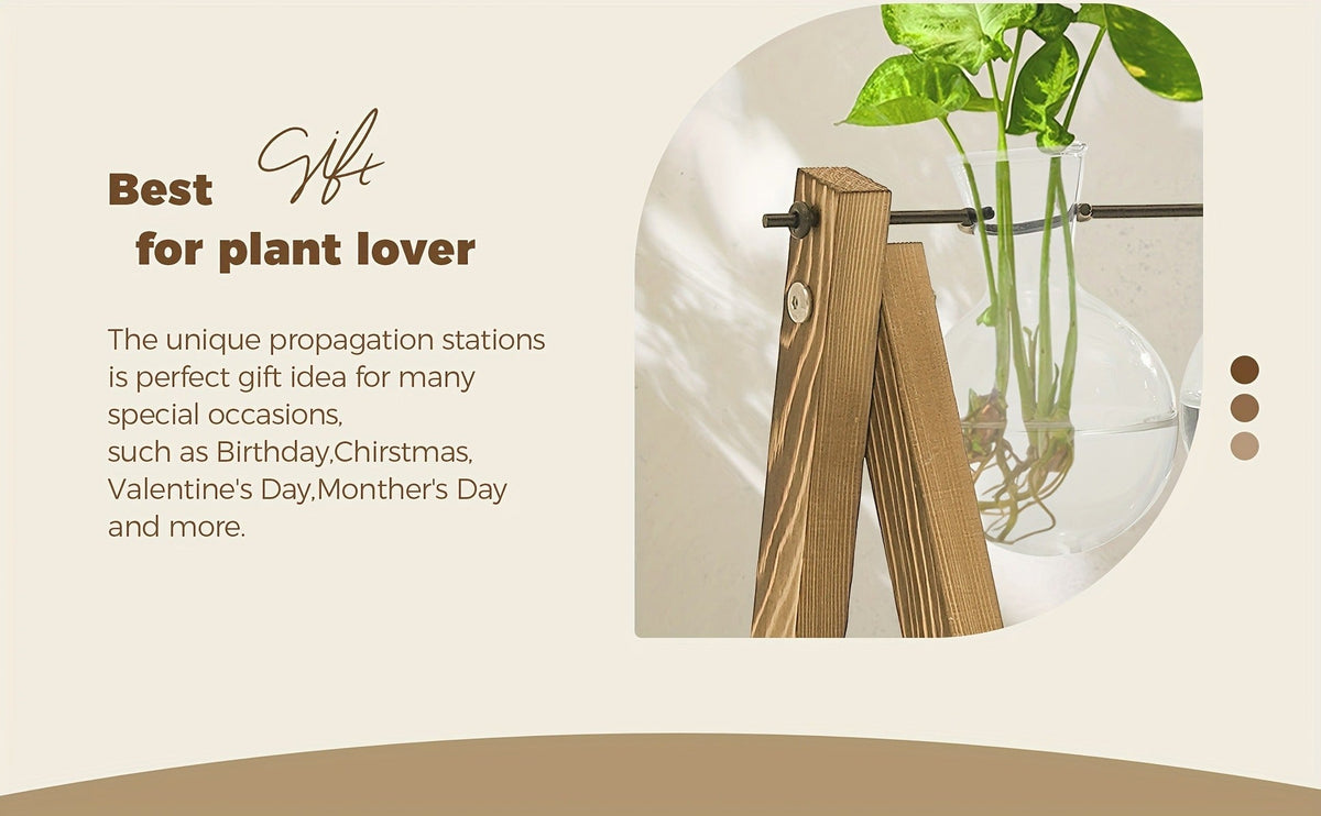 Glass Terrarium Heart Shaped Hydroponic Vase with Wooden Stand – Elegant Plant Propagation Station for Home Decor — image 9