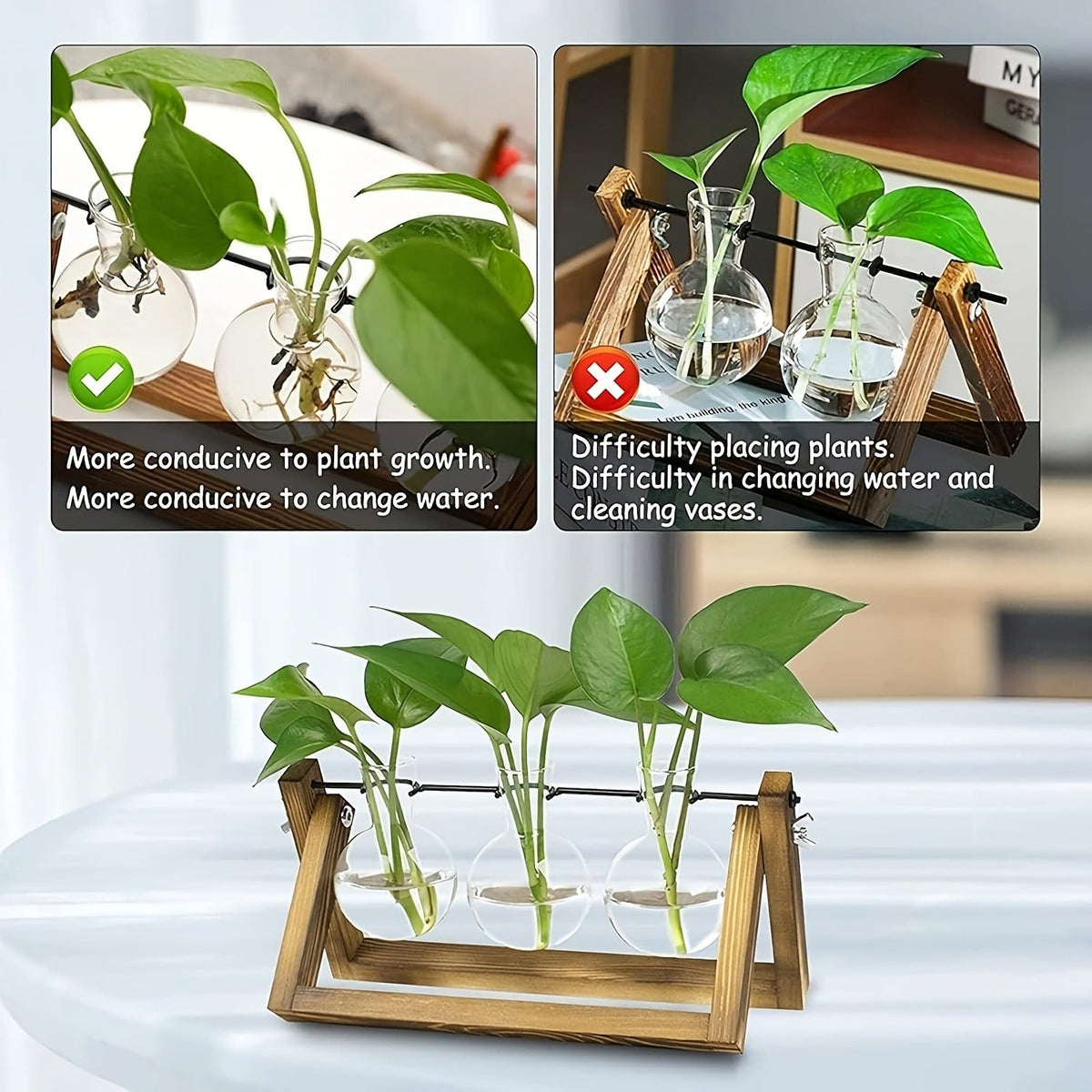 Propagation Station 3 Bulb Glass Vase with Wooden Stand – Hydroponic Plant Terrarium for Home Office Desk Decor — image 9