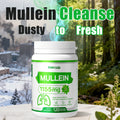 Mullein Lung Cleanse Capsules with NAC 45000mg – Mucus Removal, Dry Cough Relief & Respiratory Support Supplement for Women &