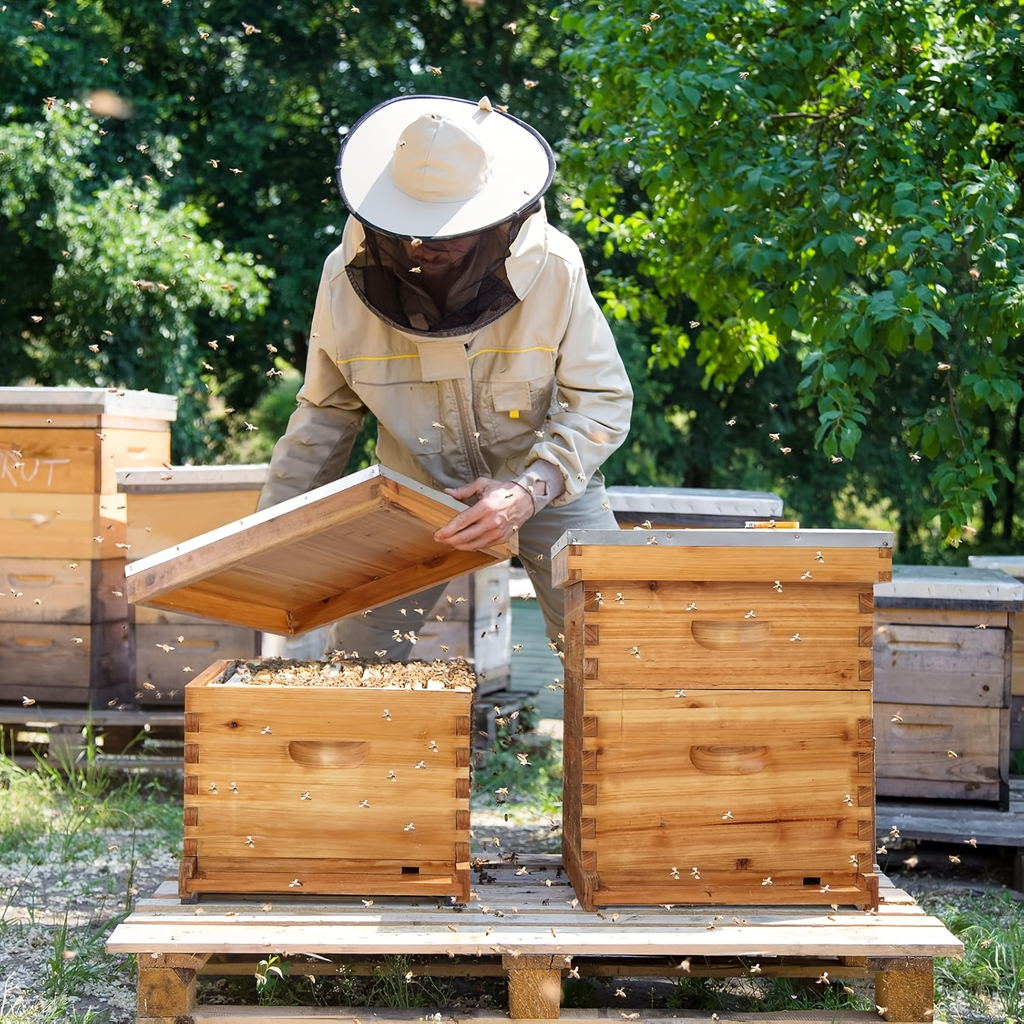 Langstroth Bee Hive Kit Wax Coated Wood 10-Frame 3-Layer Frames for Everyday Face, Beard and Body Grooming — image 9