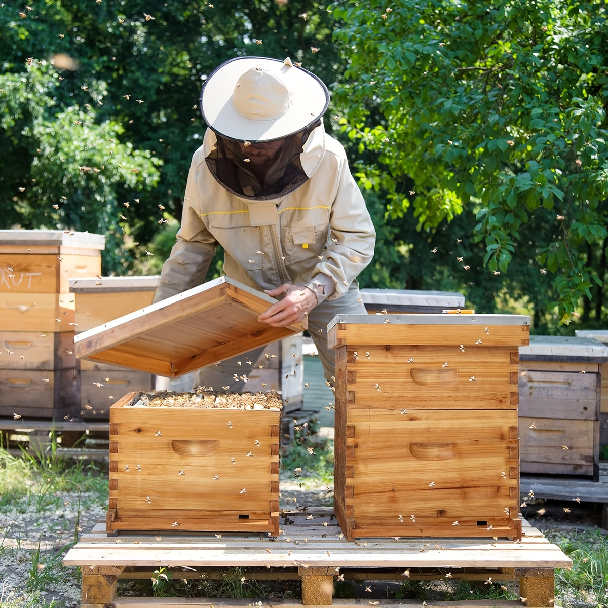 Langstroth Bee Hive Kit Wax Coated Wood 10-Frame 3-Layer Frames for Everyday Face, Beard and Body Grooming — image 9