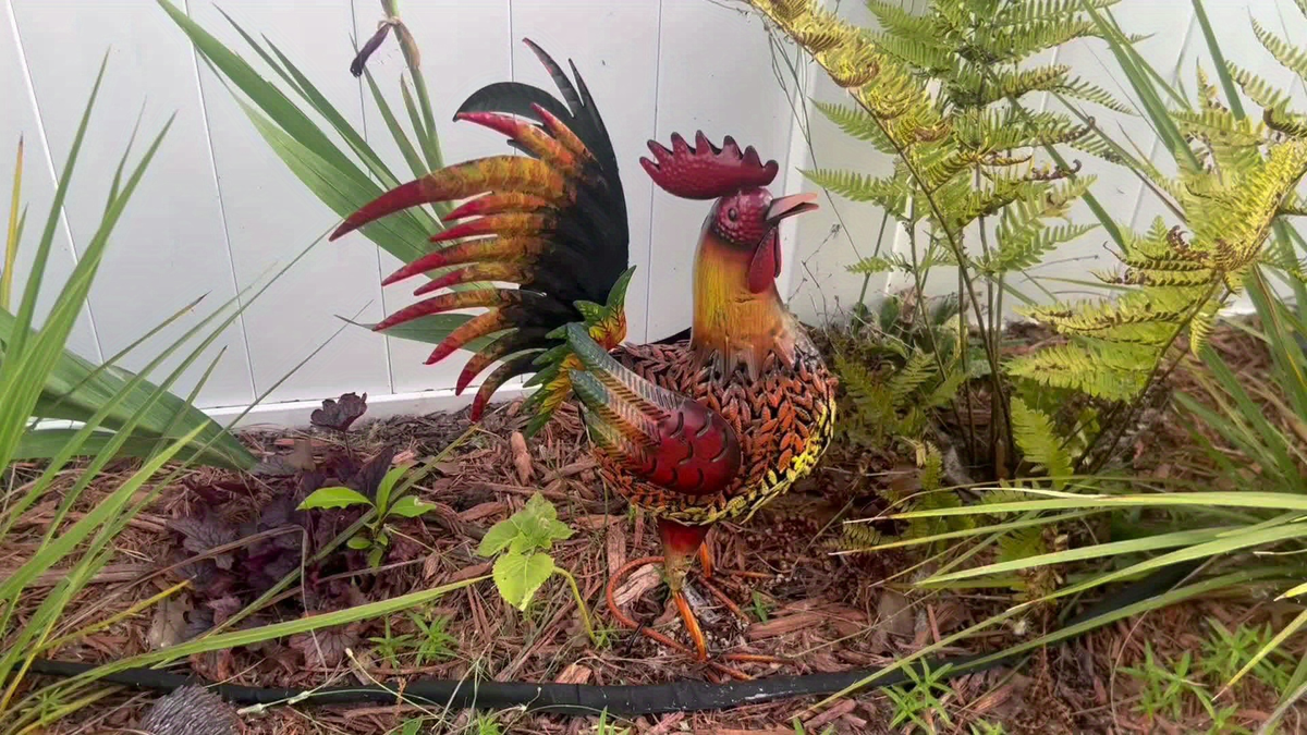 Metal Rooster Garden Stake Colorful Farmhouse Chicken Sculpture Outdoor Lawn Yard Decor Art Ornament Housewarming Gift 19 Inc