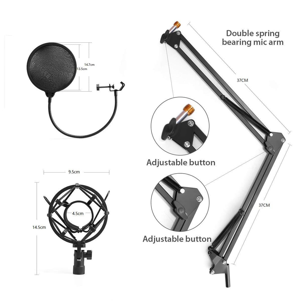 Shouting Microphone Recording Live K Song Podcast