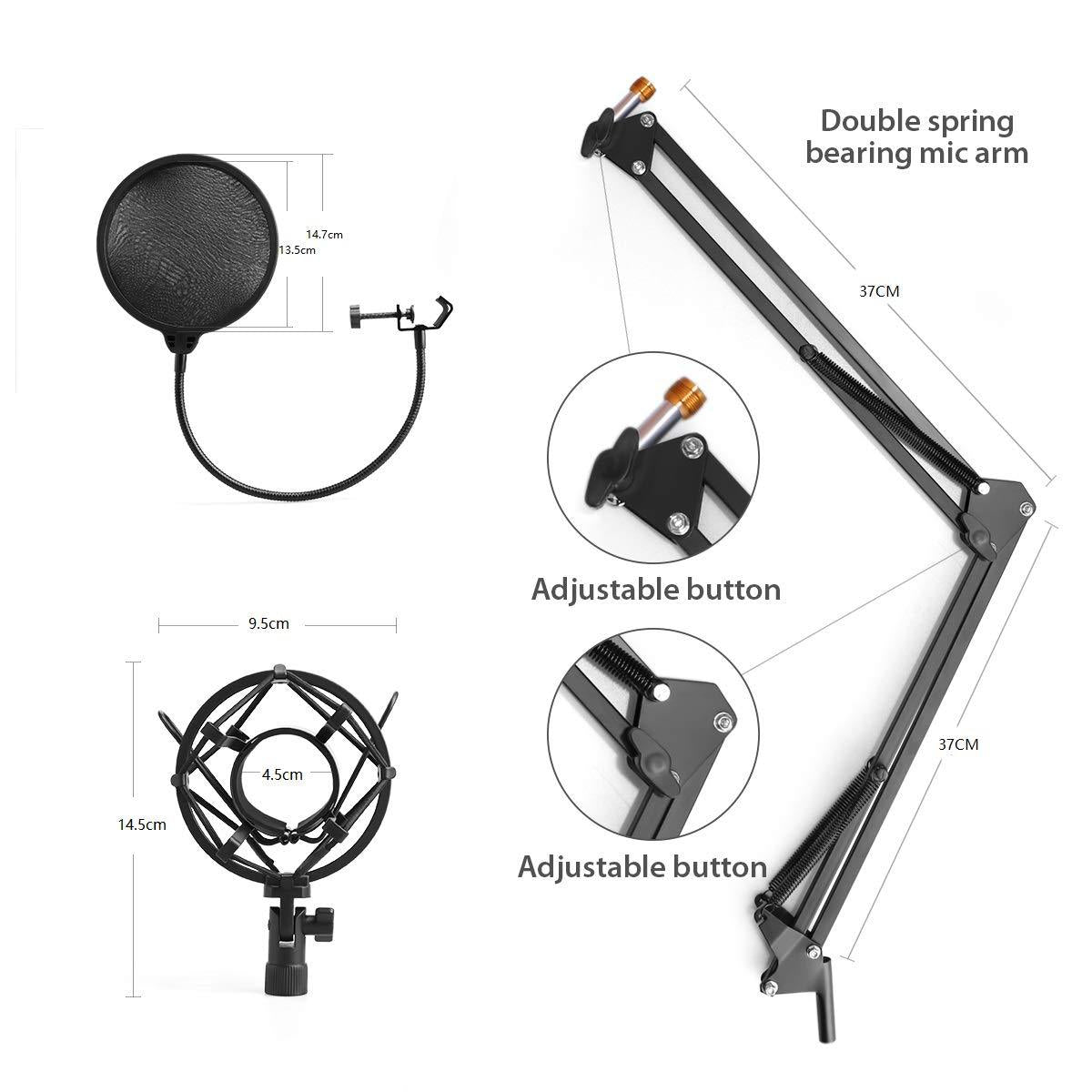 Shouting Microphone Recording Live K Song Podcast