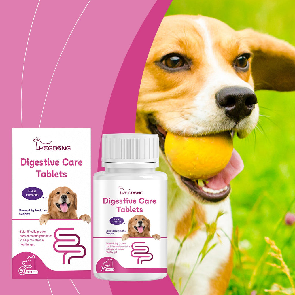 Dog Probiotic Tablets To Improve Intestinal Health, Balance Digestion And Absorption Of Pet Nutritional Supplements