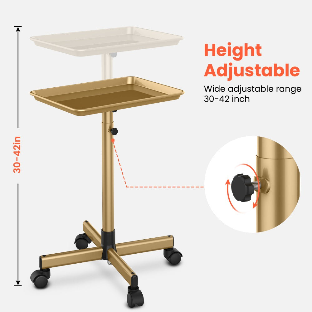 Rolling Salon Tray Cart on Wheels Adjustable Height 17.9x12.8 Inch Mobile Stylist Tray Table for Spa Tattoo Studio Blowdry Ba
