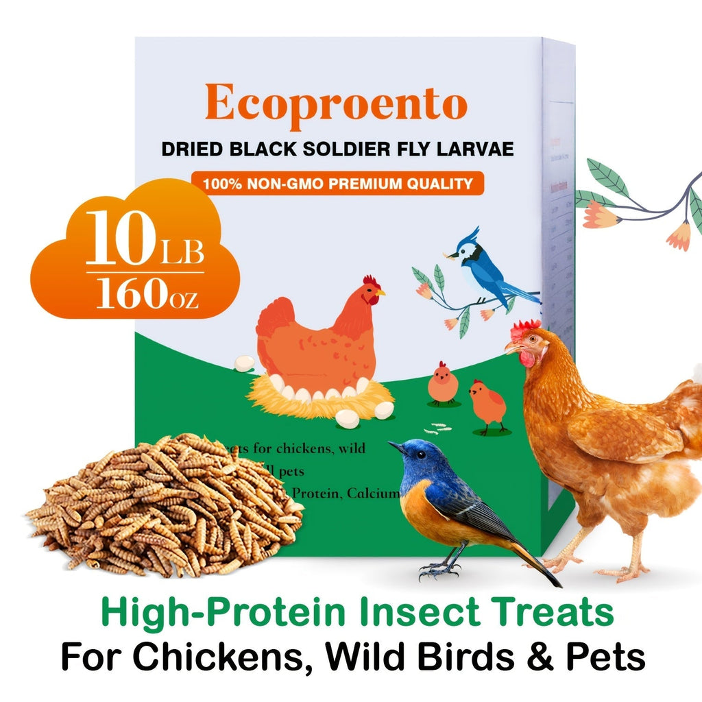 Dried Black Soldier Fly Larvae High Calcium Chicken Feed for Garden — image 1