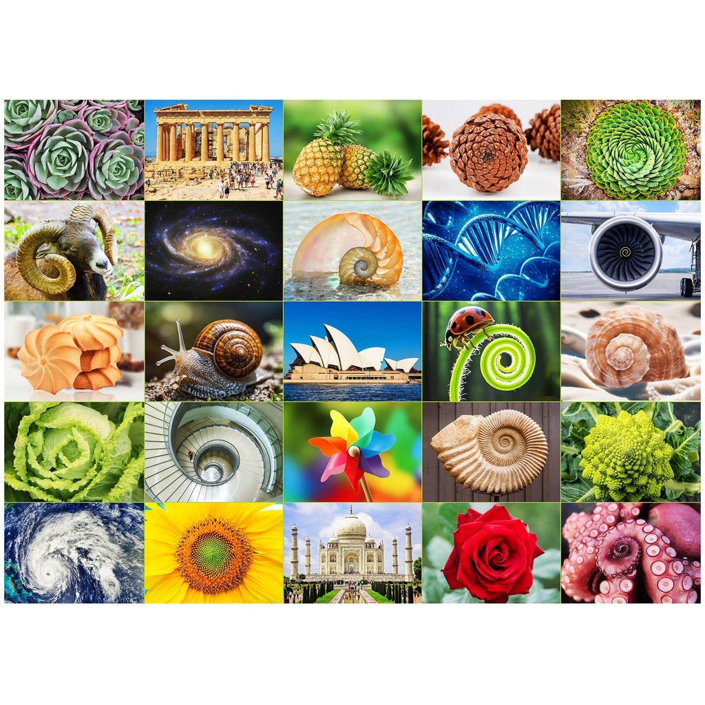 1000 Piece Jigsaw Puzzles for Adults 3-Pack – Challenging Large Puzzle Set with Wildlife, Scenic Landscape & Nature Themes | 