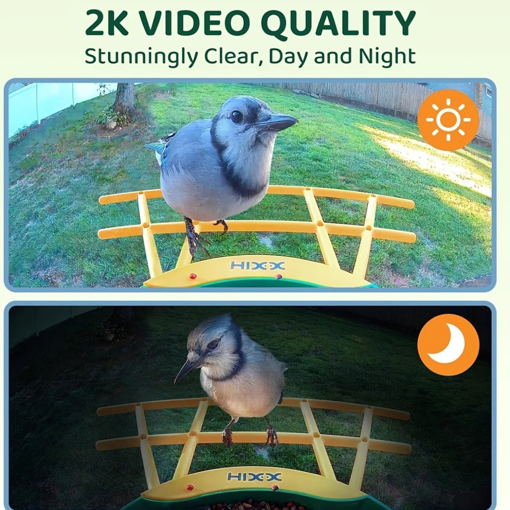 Smart Bird Feeder with Camera AI Bird Identification, 2K HD Live View, Auto Capture & Color Night Vision — image 9