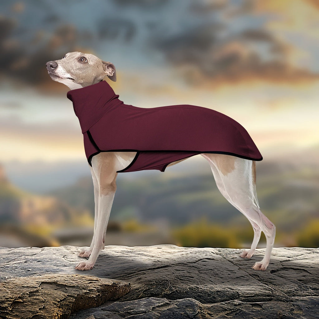 High-Neck Pullover Dog Coat in Burgundy, Navy or Fern Green with Selected XL Through 4XL Sizes — image 14
