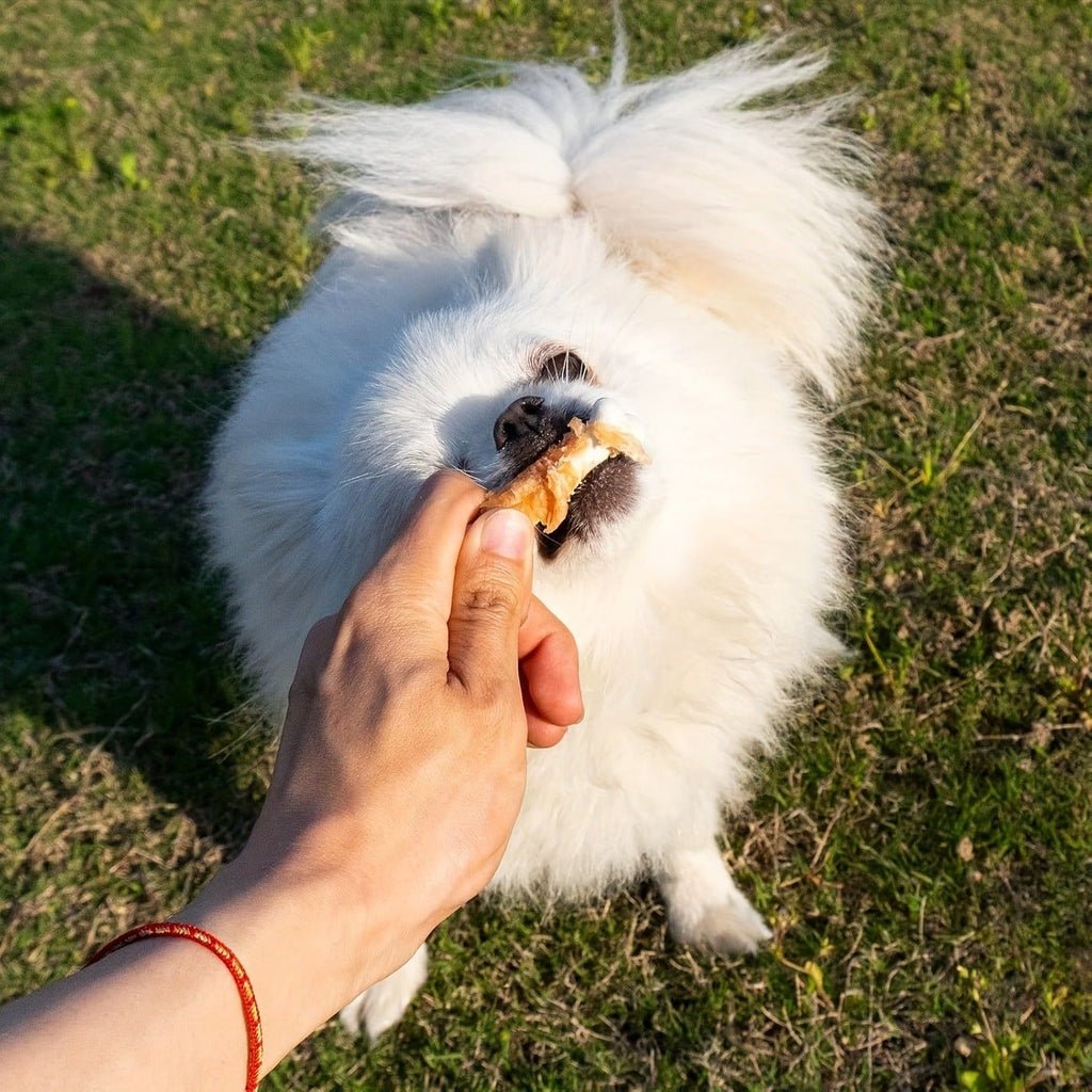 Dog Treats Duck-Wrapped Chew Pieces or Dried Chicken Breast in Two 203g Flavor Options for Dog Reward Use — image 8