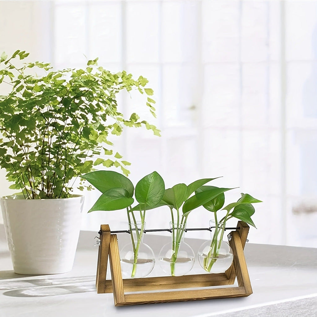 Propagation Station 3 Bulb Glass Vase with Wooden Stand – Hydroponic Plant Terrarium for Home Office Desk Decor — image 10