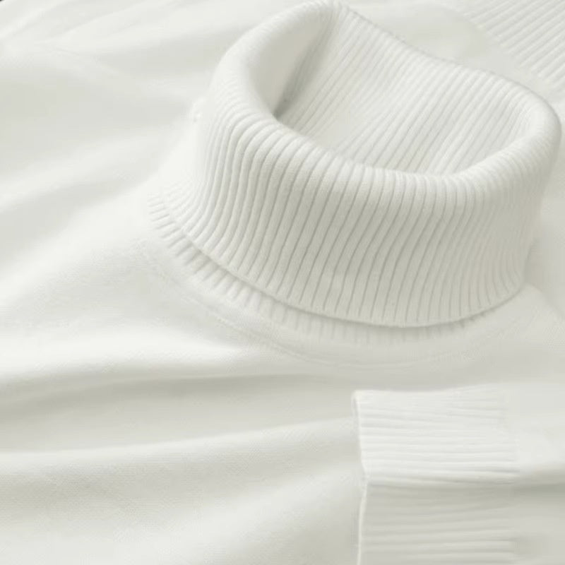 New Mens Soft Casual Warm Turtleneck Sweater