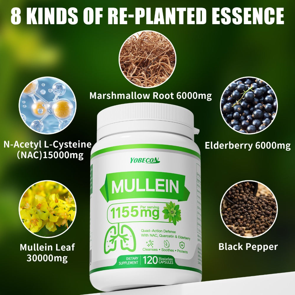 Herbal Supplement with YOBECON Label, Mullein NAC Quercetin Elderberry 1155mg per Serving, 120 Capsules — image 9