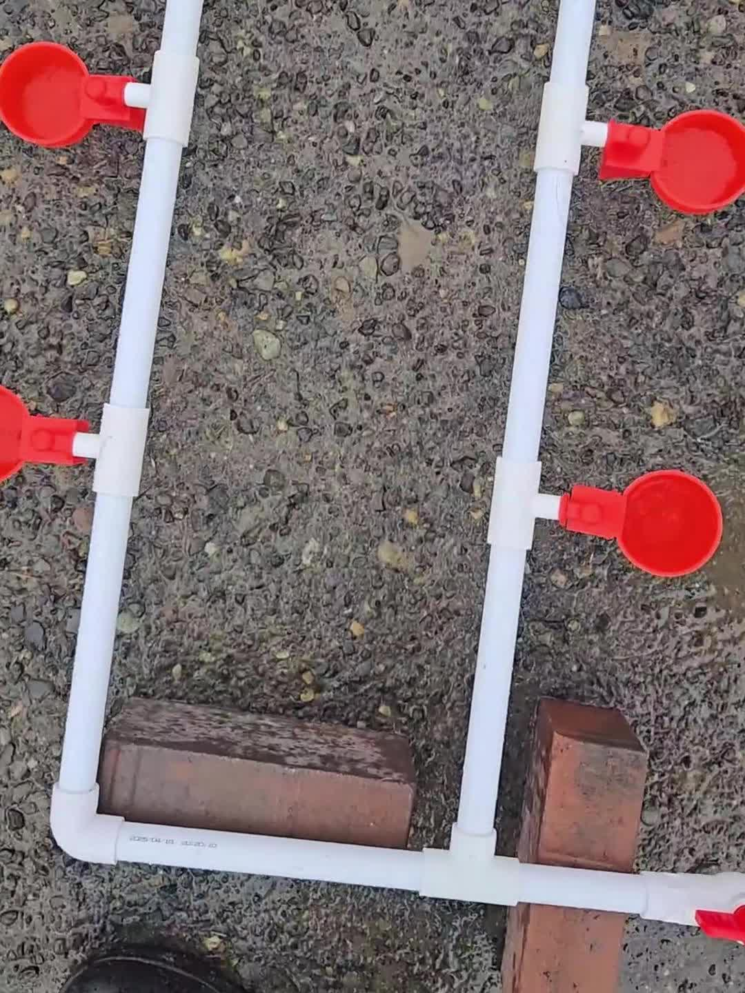 Automatic Poultry Watering System Kit with 10 Red Cups, PVC Pipe Fittings, Regulator and Hose Connections — image 9