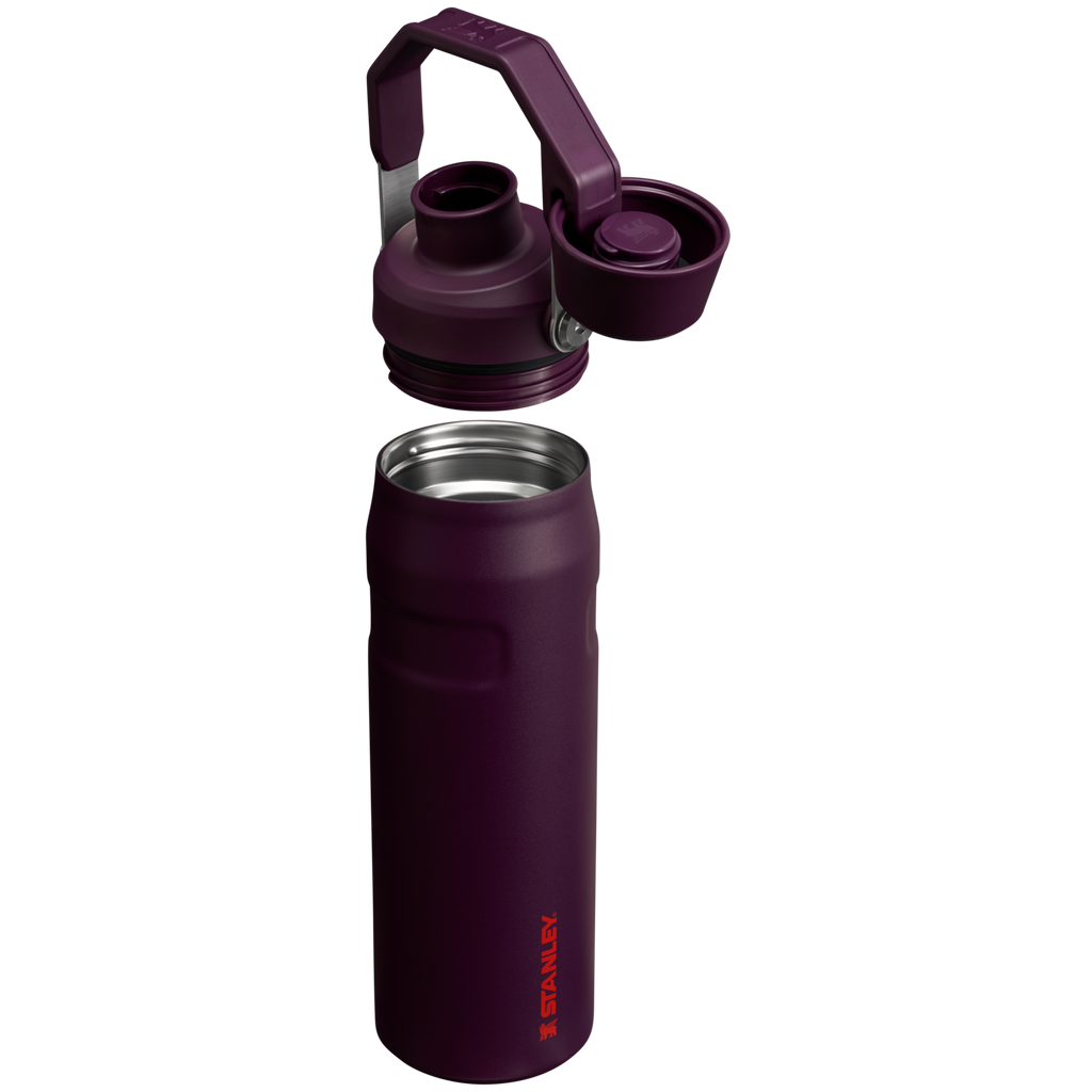 IceFlow™ Bottle with Fast Flow Lid | 24 OZ - Stanley Create