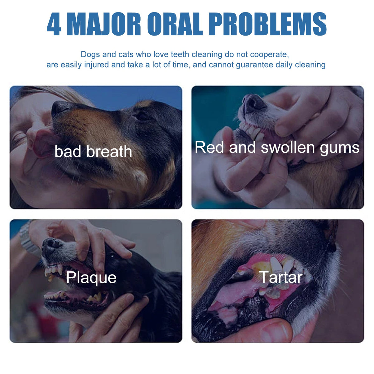 Pet Tartar Remover, Removing Dental Calculus Yellow Teeth Halitosis Cleaning Teeth Mouth Foam Cleaner