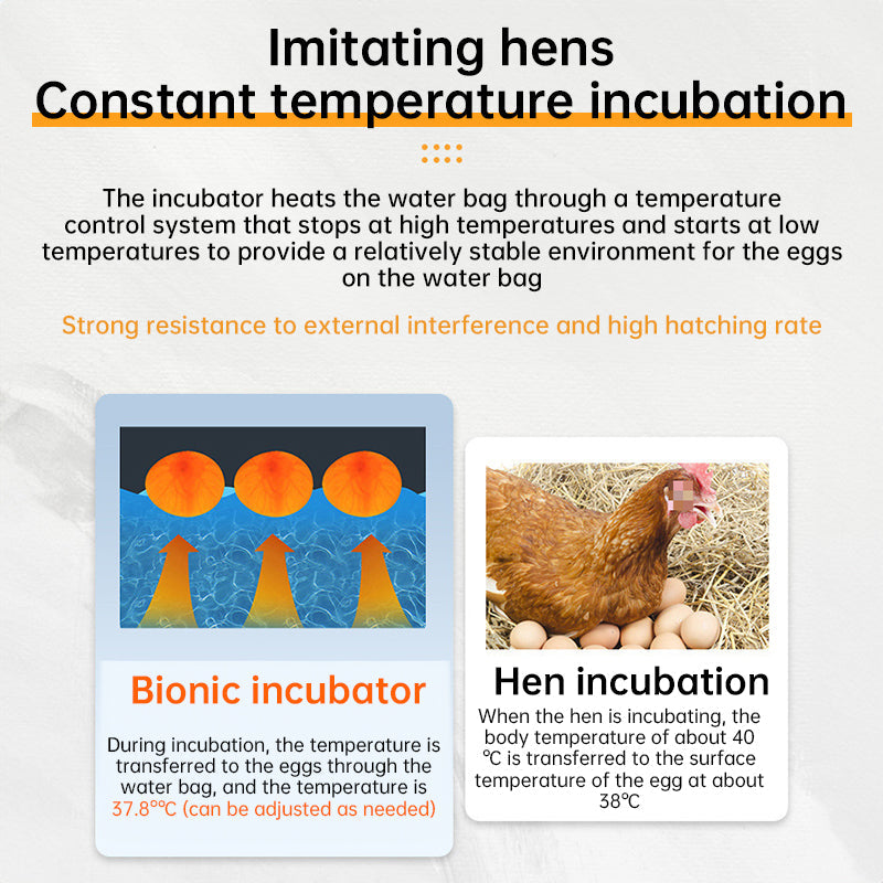 24 - hr Thermostatic Small Poultry Incubator. Biomimetic Waterbed. Auto & Smart. For Chick, Duck & Goose Eggs