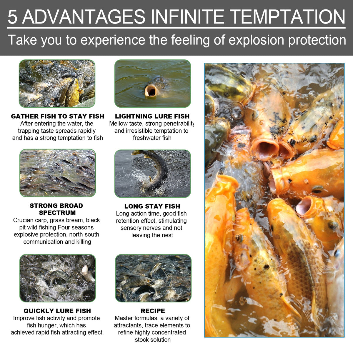 Bait Attractant, Reservoir Bait Fishing Bait Fish Portable Fish Primer