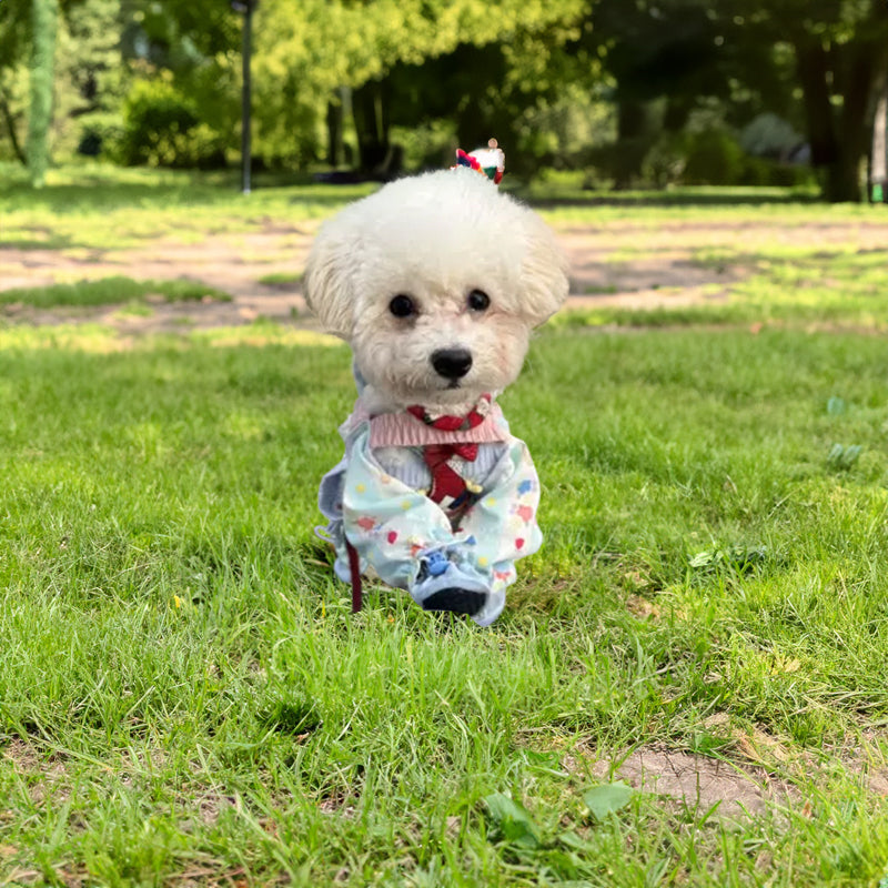 Pet Stroller, Dustproof Pants, Summer Jumpsuit, Leg - Protective Shoes/Trousers, Small Pet Wear
